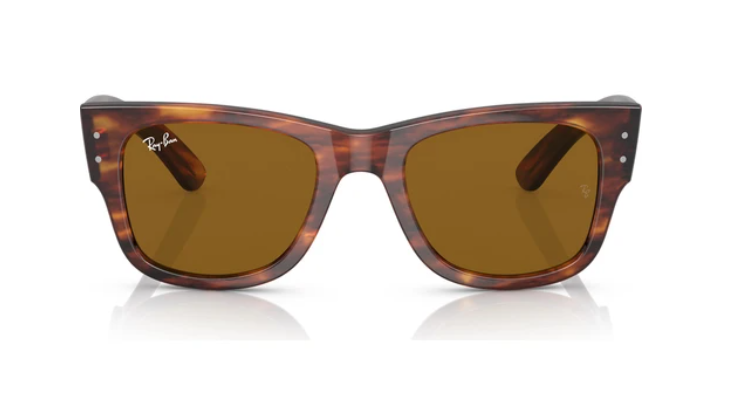 Mega Wayfarer