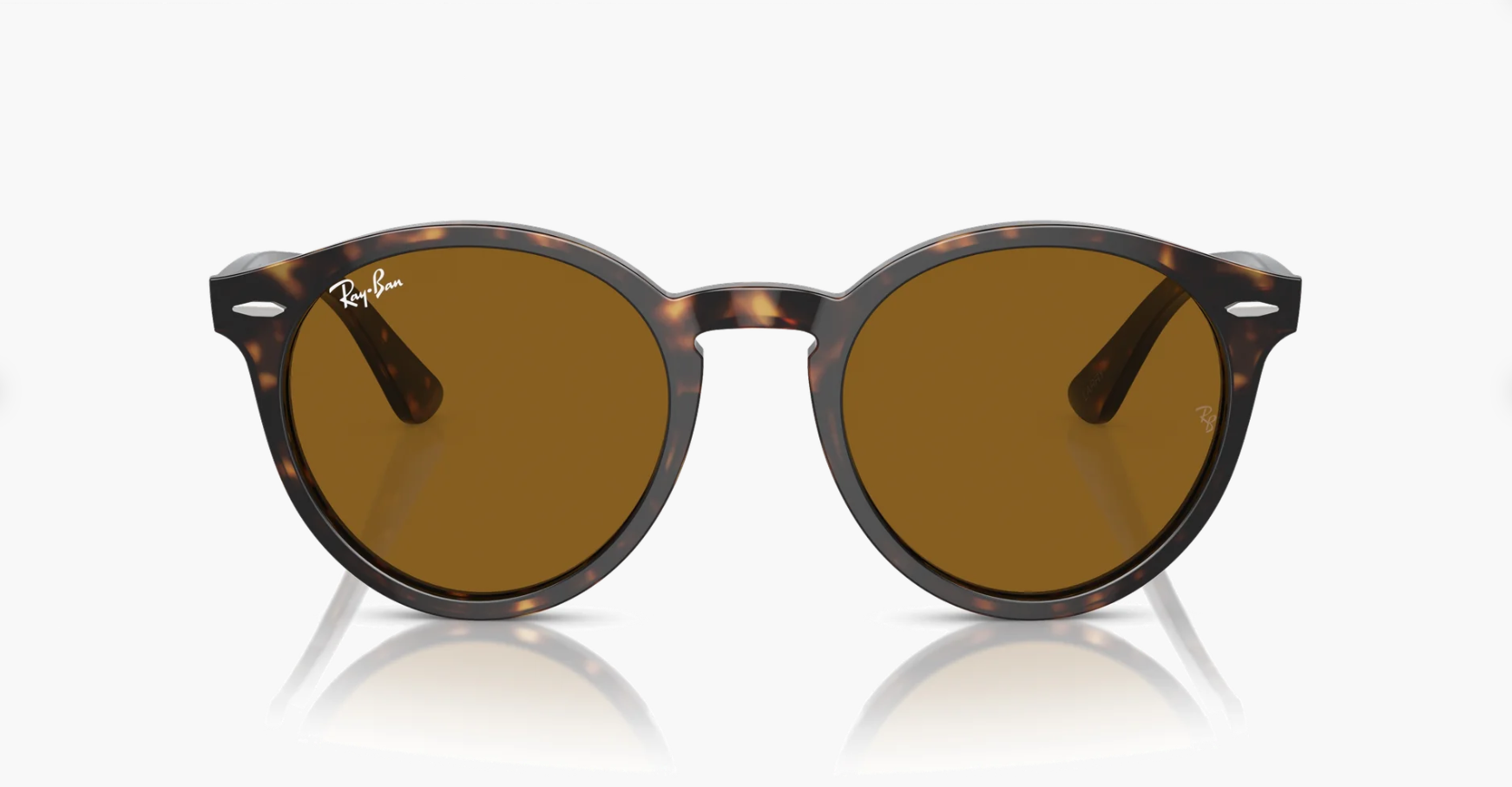 Ray-Ban Larry Oval Güneş Gözlüğü