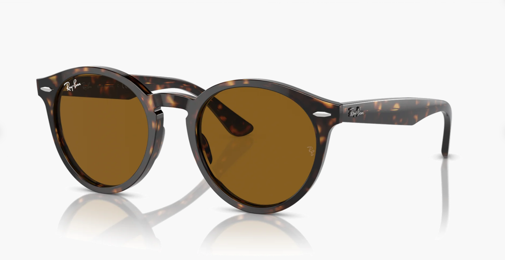 Ray-Ban Larry Oval Güneş Gözlüğü - Alternatif